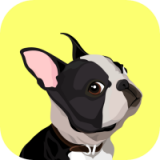 EveryDoggy直装版