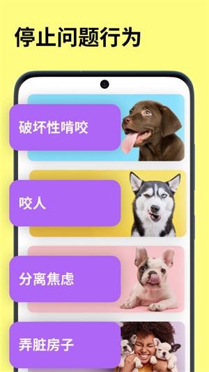 EveryDoggy直装版