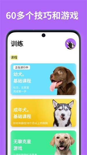 EveryDoggy直装版