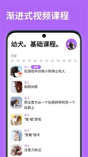 EveryDoggy直装版