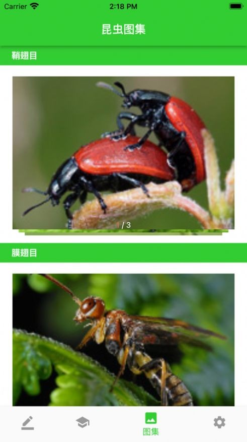 虫笔最新版图1
