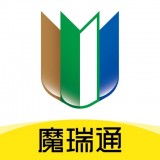 魔瑞通安卓直装版
