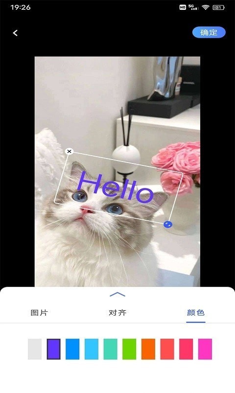 小猪翻译器官方最新版图2
