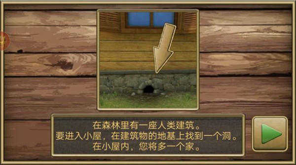 疯狂老鼠公园(3)