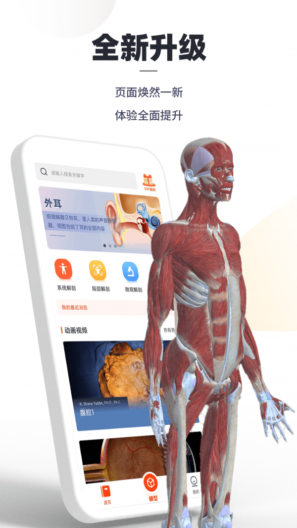 口袋人体解剖安卓官方版图1