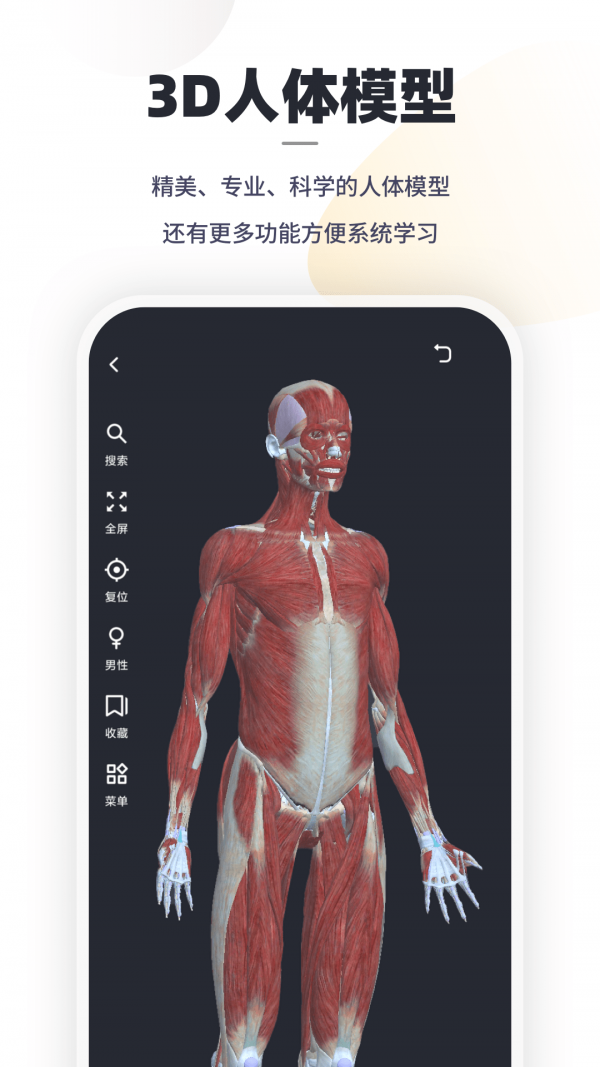口袋人体解剖安卓官方版图4
