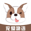 宠爱物语原版