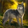 荒野狩猎生存官方版
