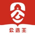 公选王正版
