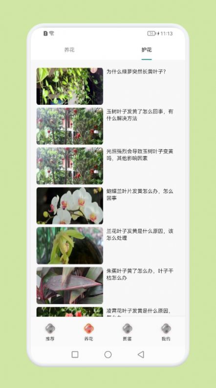 植物识别百科无广告版图1