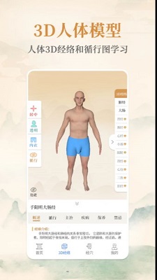 经络穴位艾灸大夫(1)