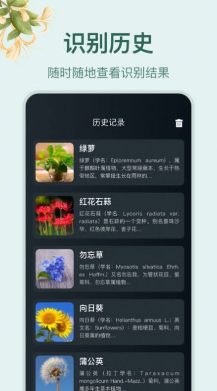 花草百科识别手机正版