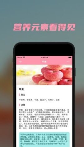 懒猪营养(2)