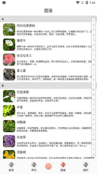 养花伴手机版