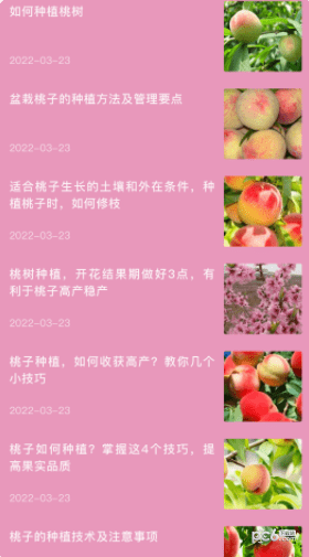 桃源生活录最新免费版