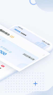 DS经营管理手机免费版图2