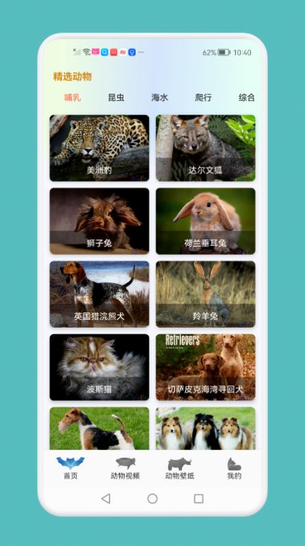 动物吧安卓官方版