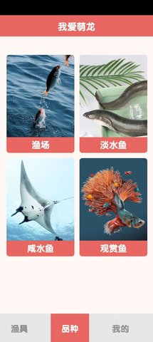 萌龙乐园图1