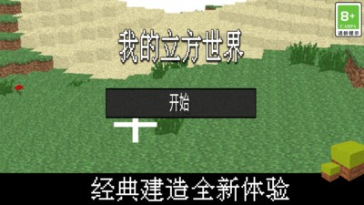我的立方世界(2)