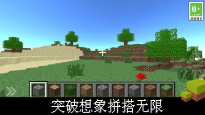 我的立方世界(3)