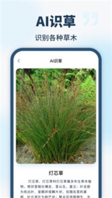 智能识别全能王最新版图2