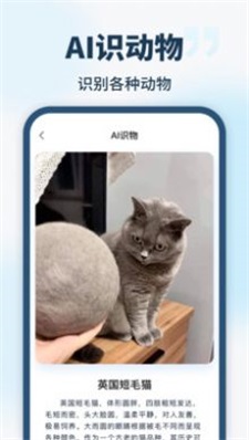 智能识别全能王最新版图3