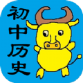 初中历史知识点笔记原版