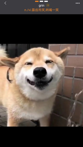 打墨最新版