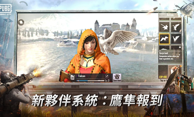 绝地求生低配版(2)