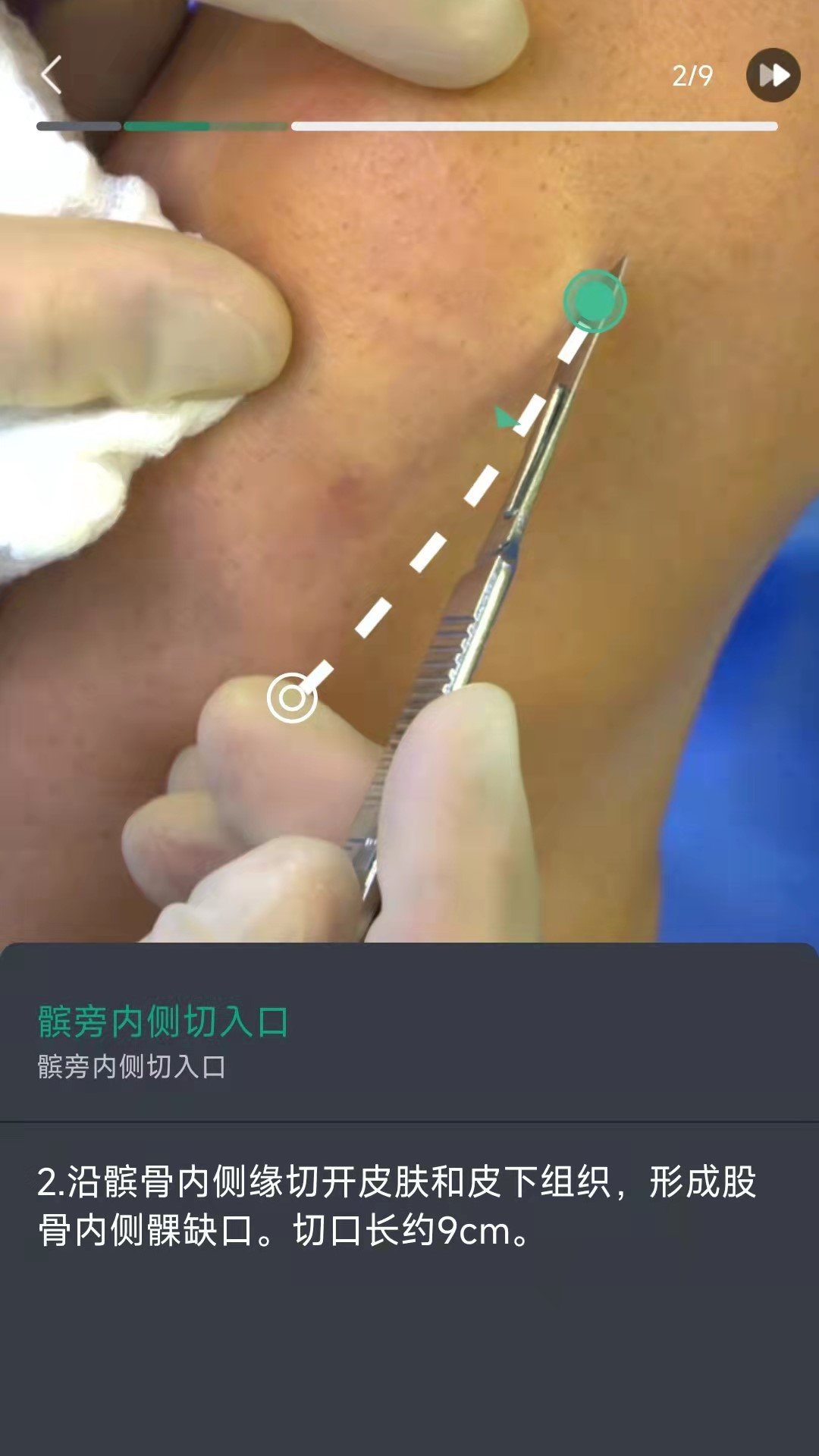 万康人体解剖原版图4