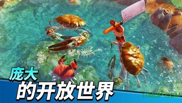猛蟹之王(1)