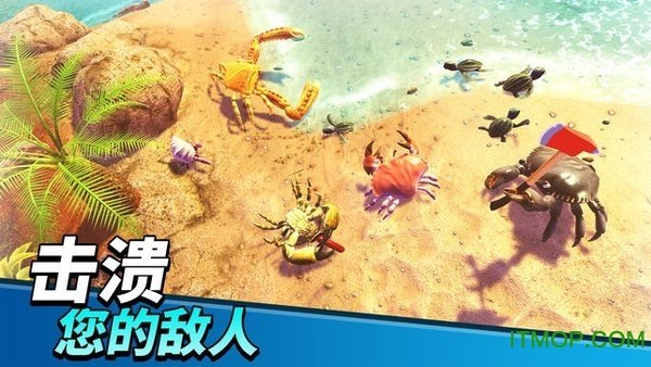 猛蟹之王(2)