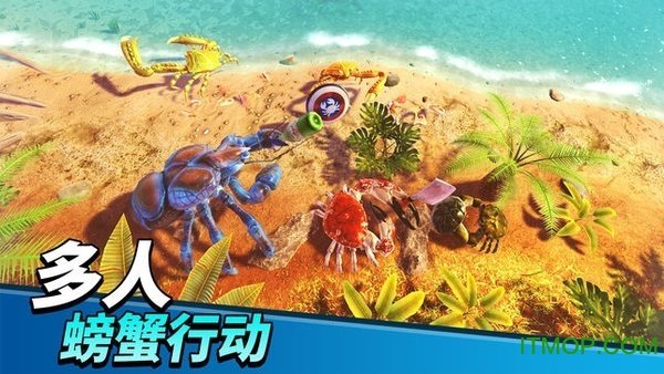 猛蟹之王(3)