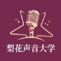 梨花声音大学原版