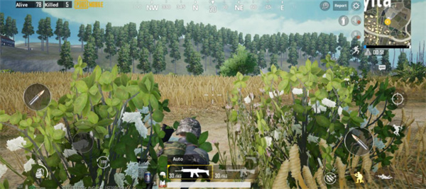 PUBG地铁逃生国际服安卓直装版(3)