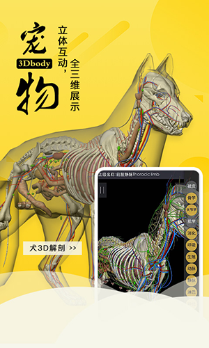 3dbody宠物新版图1