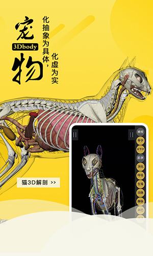 3dbody宠物新版图3