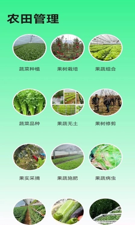 绿色农场原版