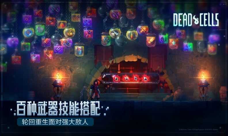 重生细胞2026免费版图2