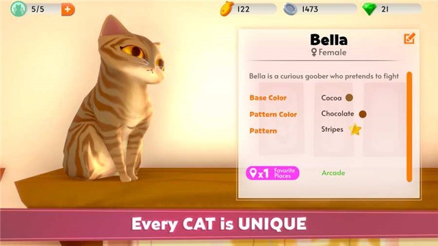 我的猫咪俱乐部手机版图2