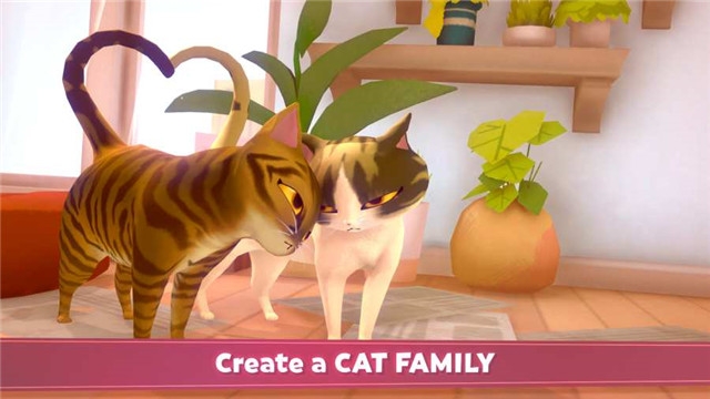 我的猫咪俱乐部手机版图3