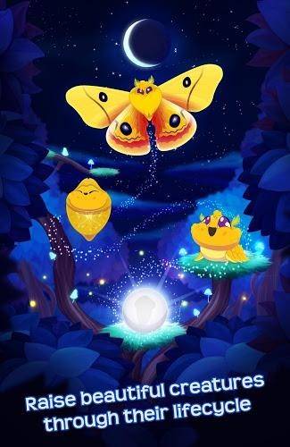 蝴蝶之星夜免费原版图1