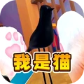 猫咪风云手机版
