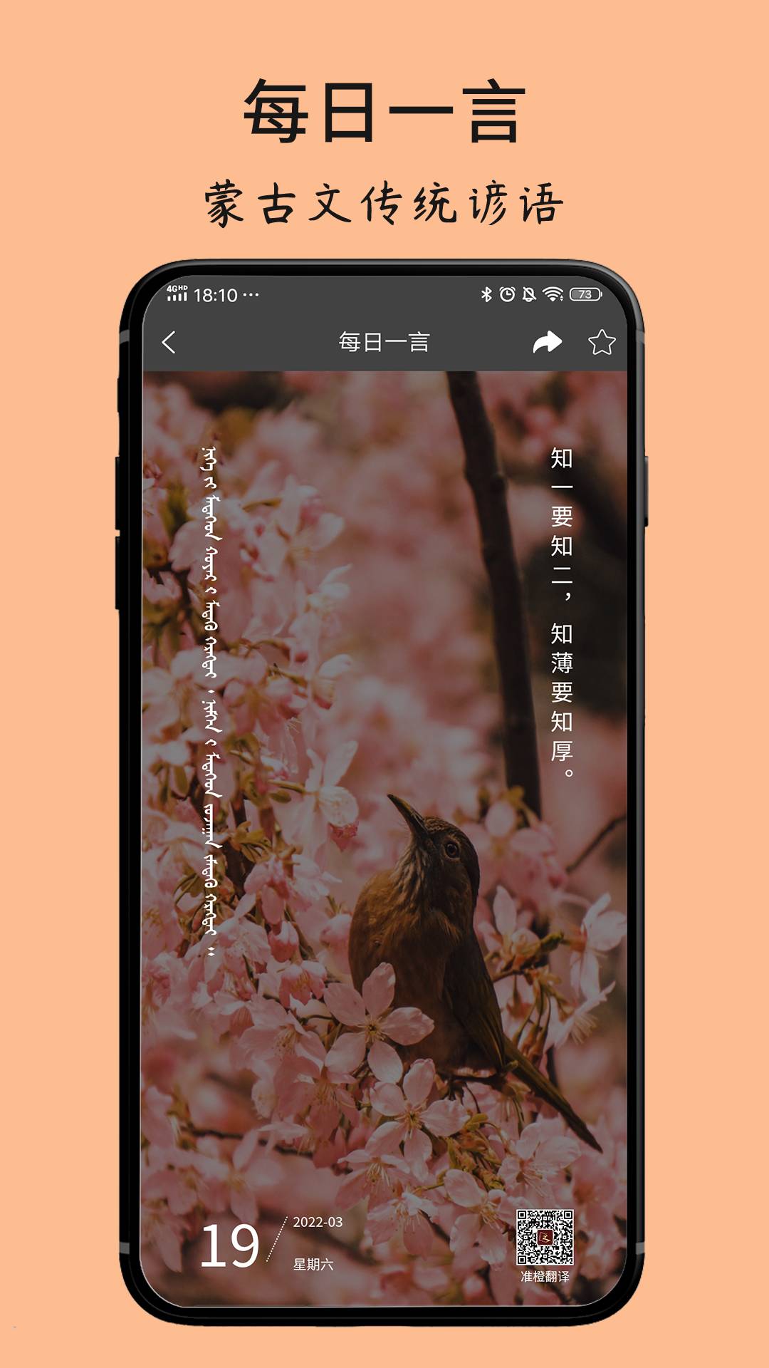 蒙古文翻译词典软件原版