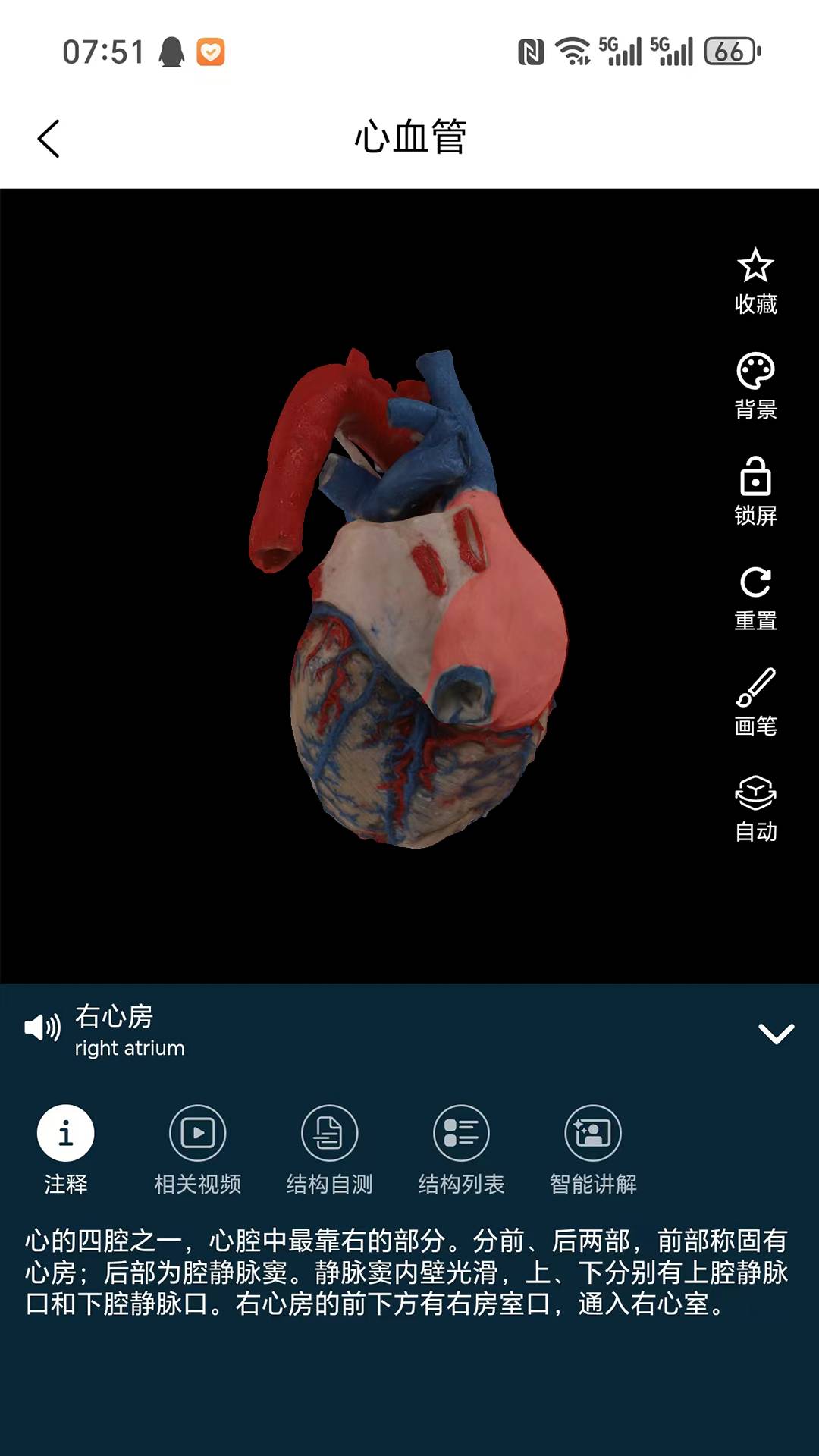 云解剖安卓直装版图4