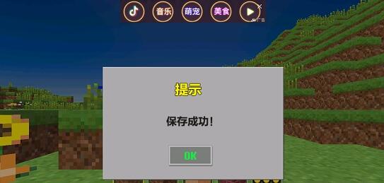 我的积木像素世界(4)