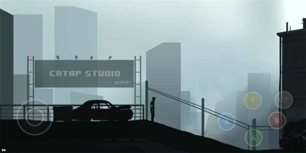 Chopin正版图1