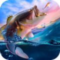 真实海钓模拟游戏正版
