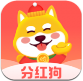 狗狗世界