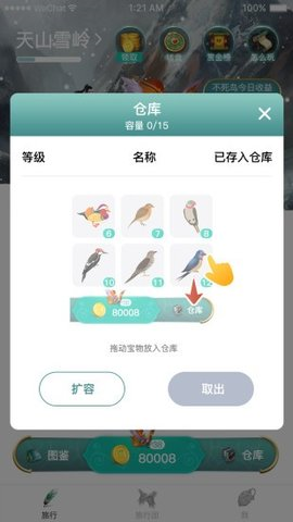 萌鸟森林直装游戏版图2